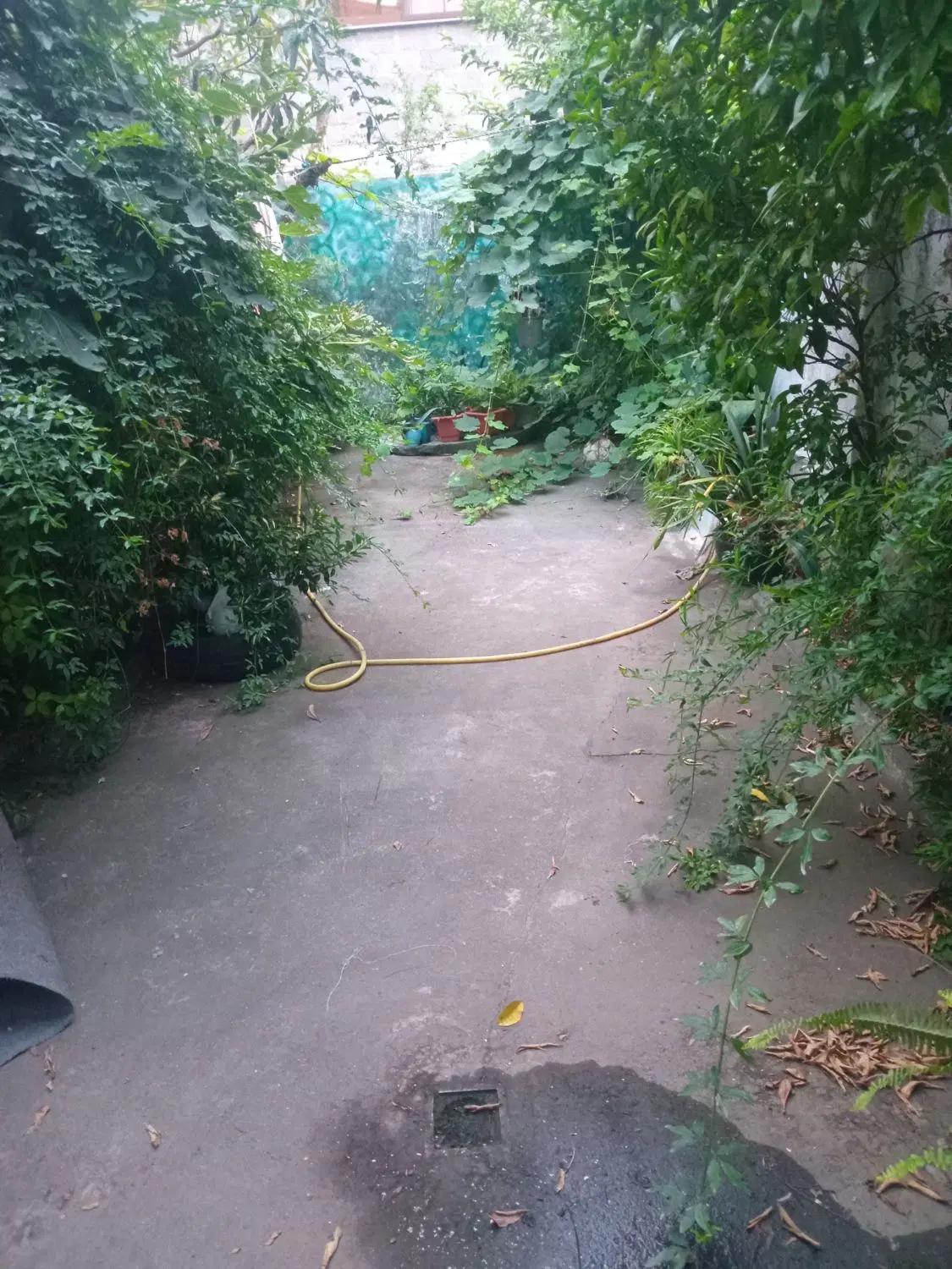 تصویر املاک 76813