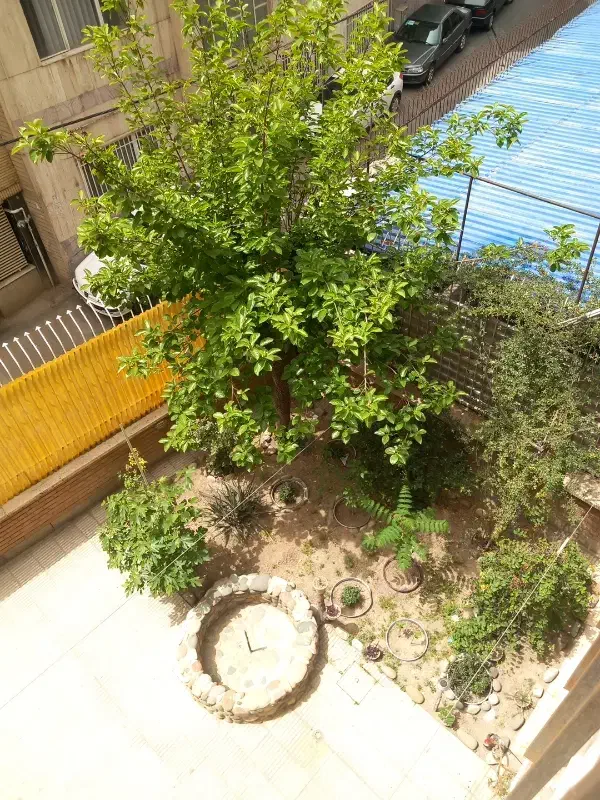 تصویر املاک 38360
