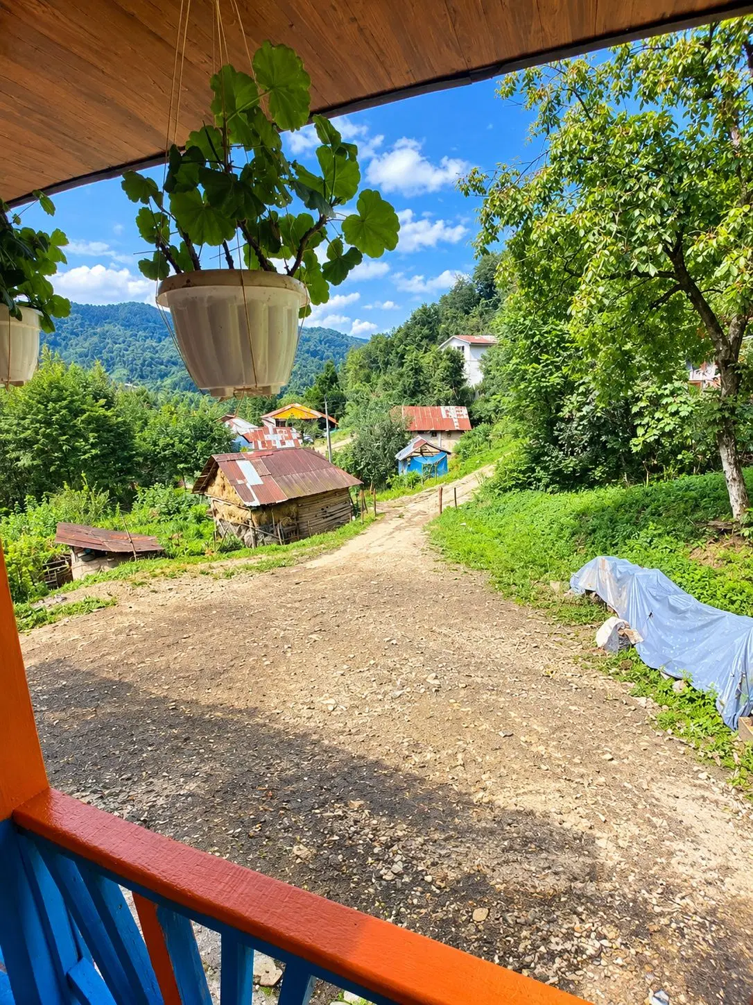 تصویر املاک 132247