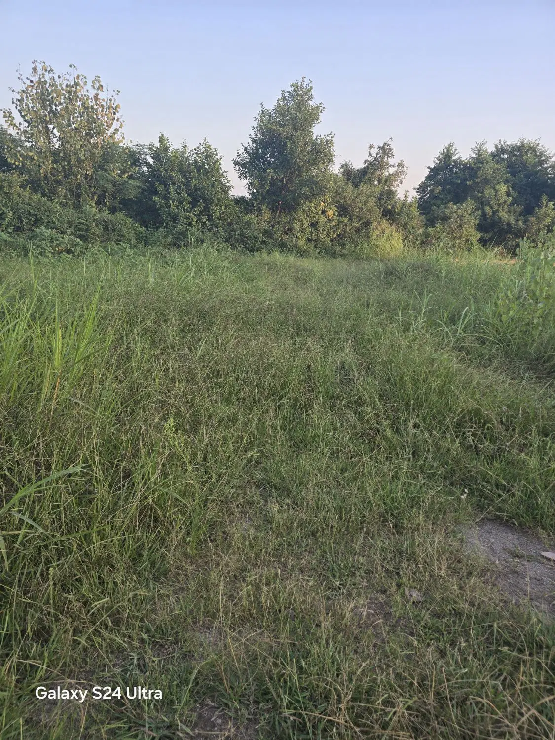 تصویر املاک 113257
