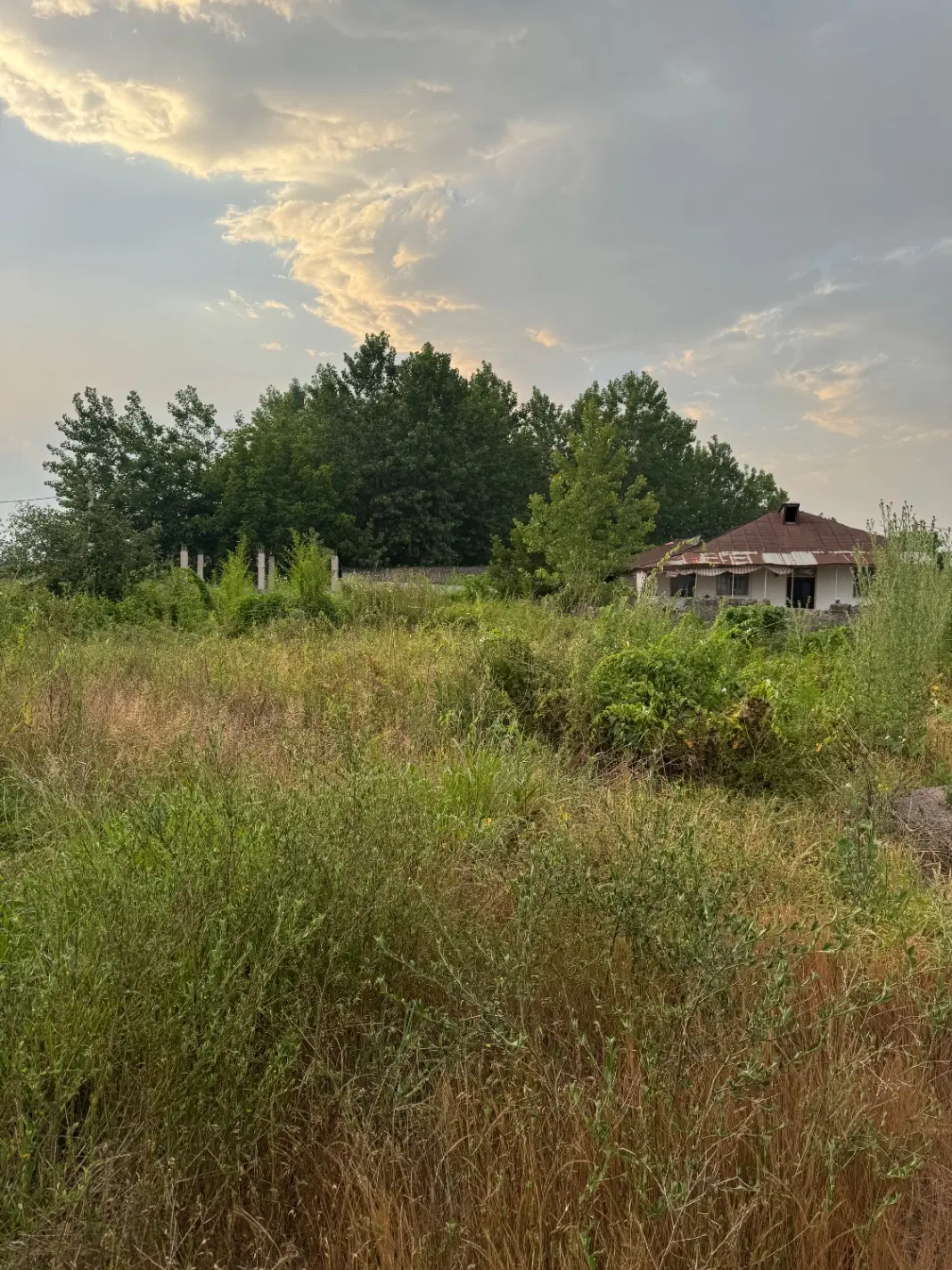 تصویر املاک 104309