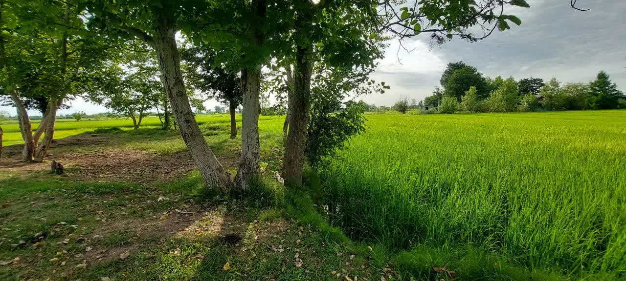 تصویر املاک 91860