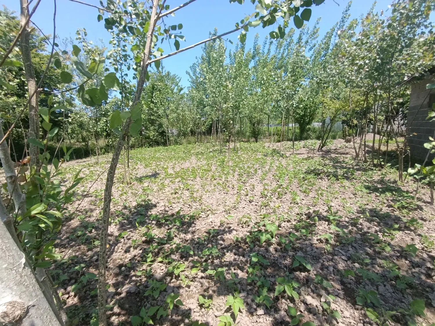 تصویر املاک 83160
