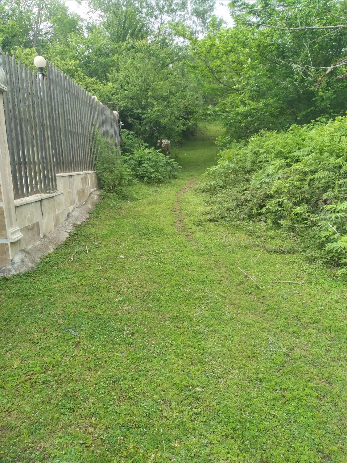 تصویر املاک 96195