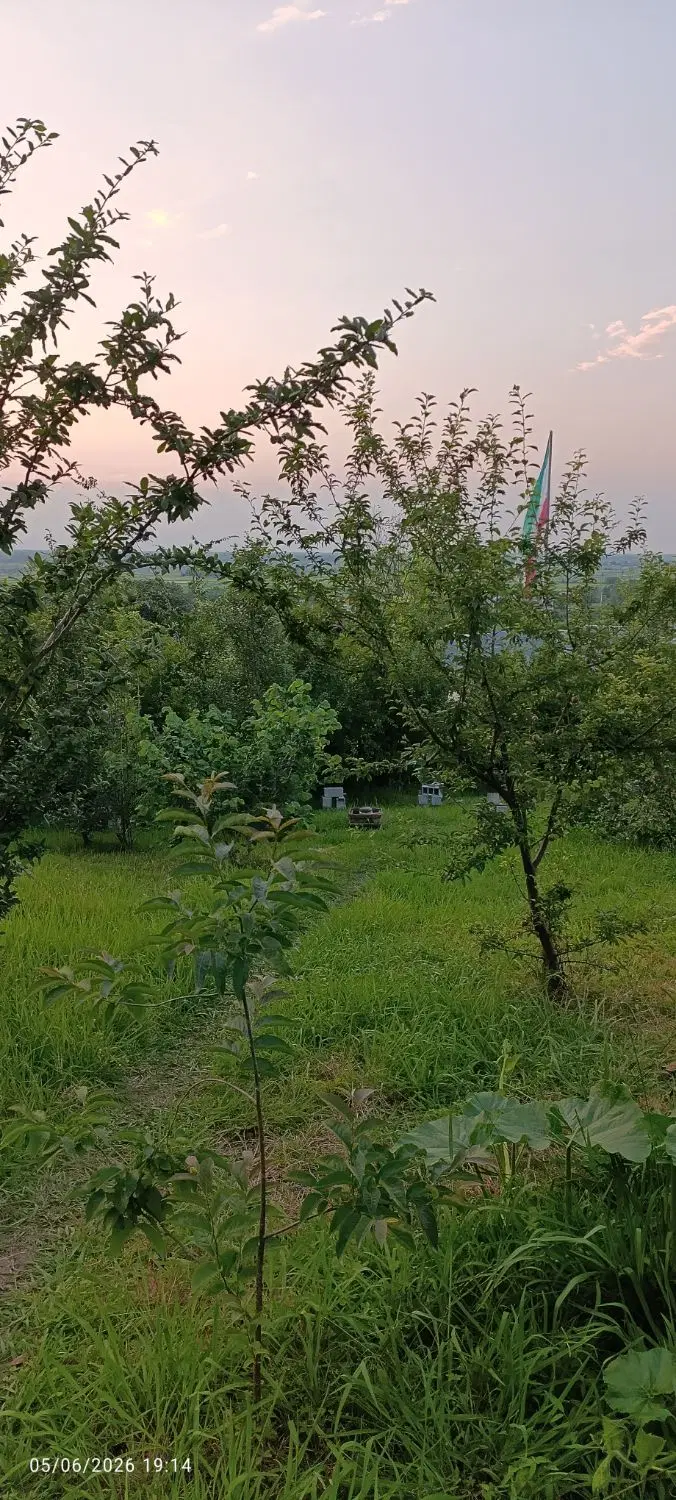 تصویر املاک 108275