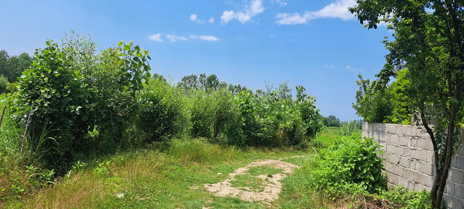 تصویر املاک 73517
