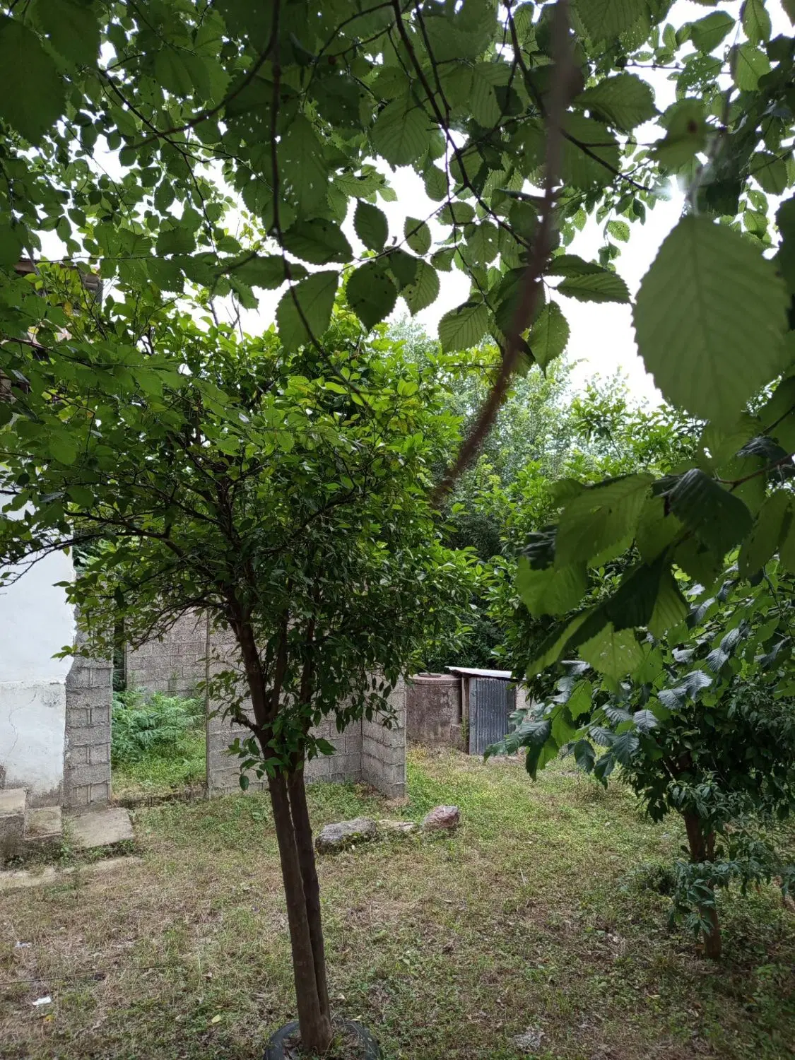 تصویر املاک 106325
