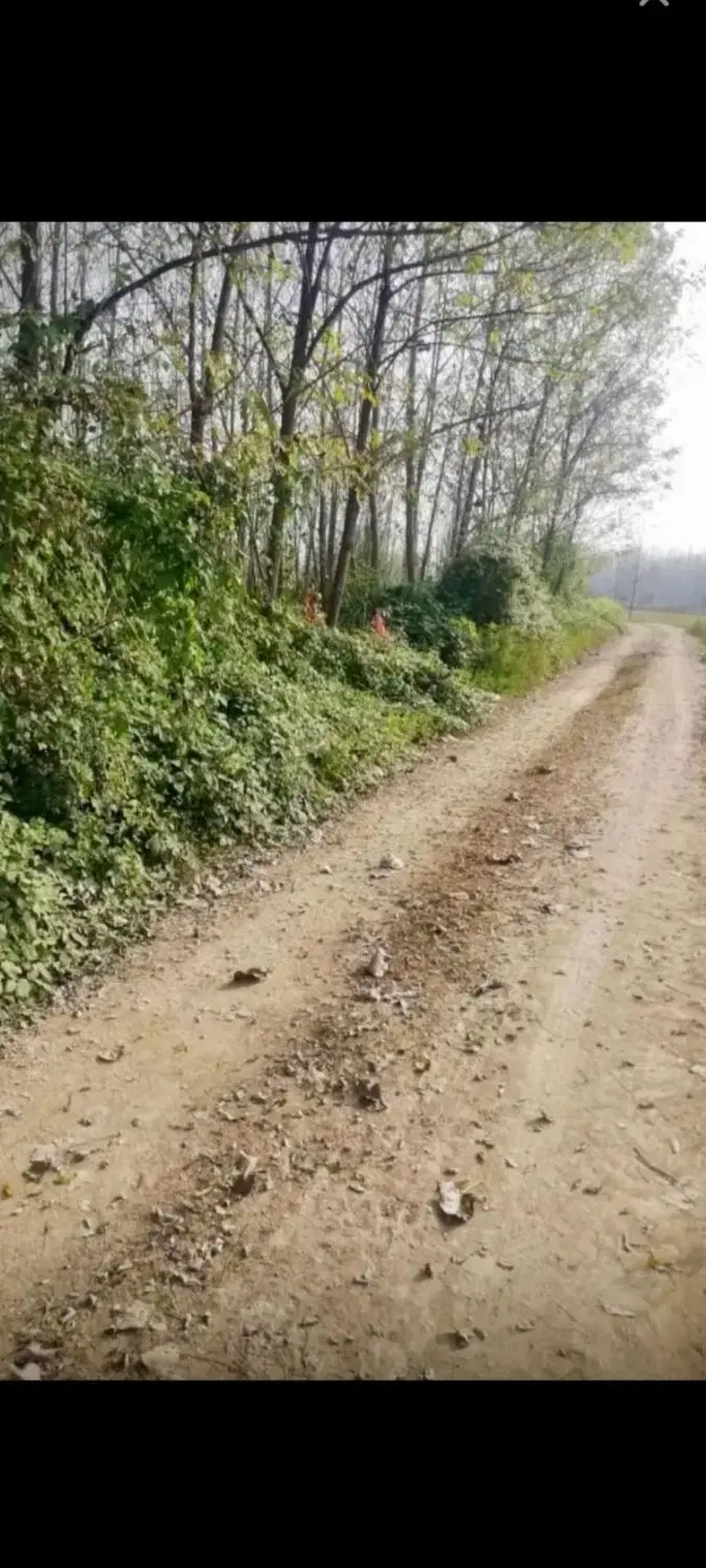 تصویر املاک 60441