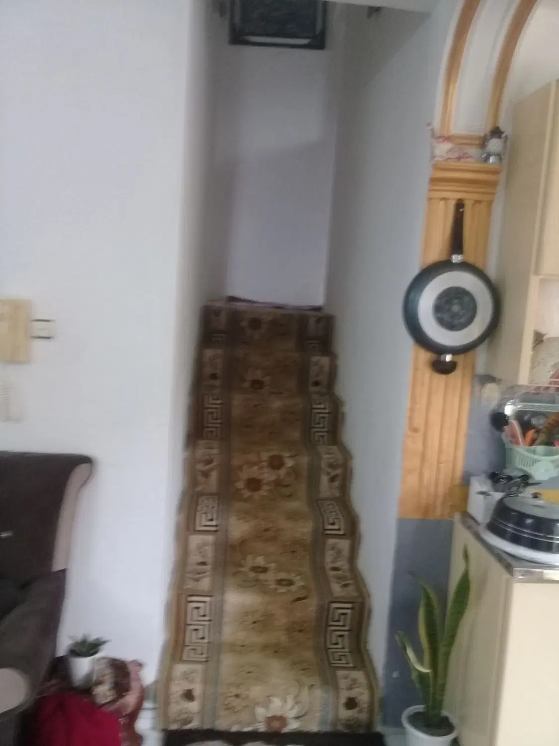 تصویر املاک 69136