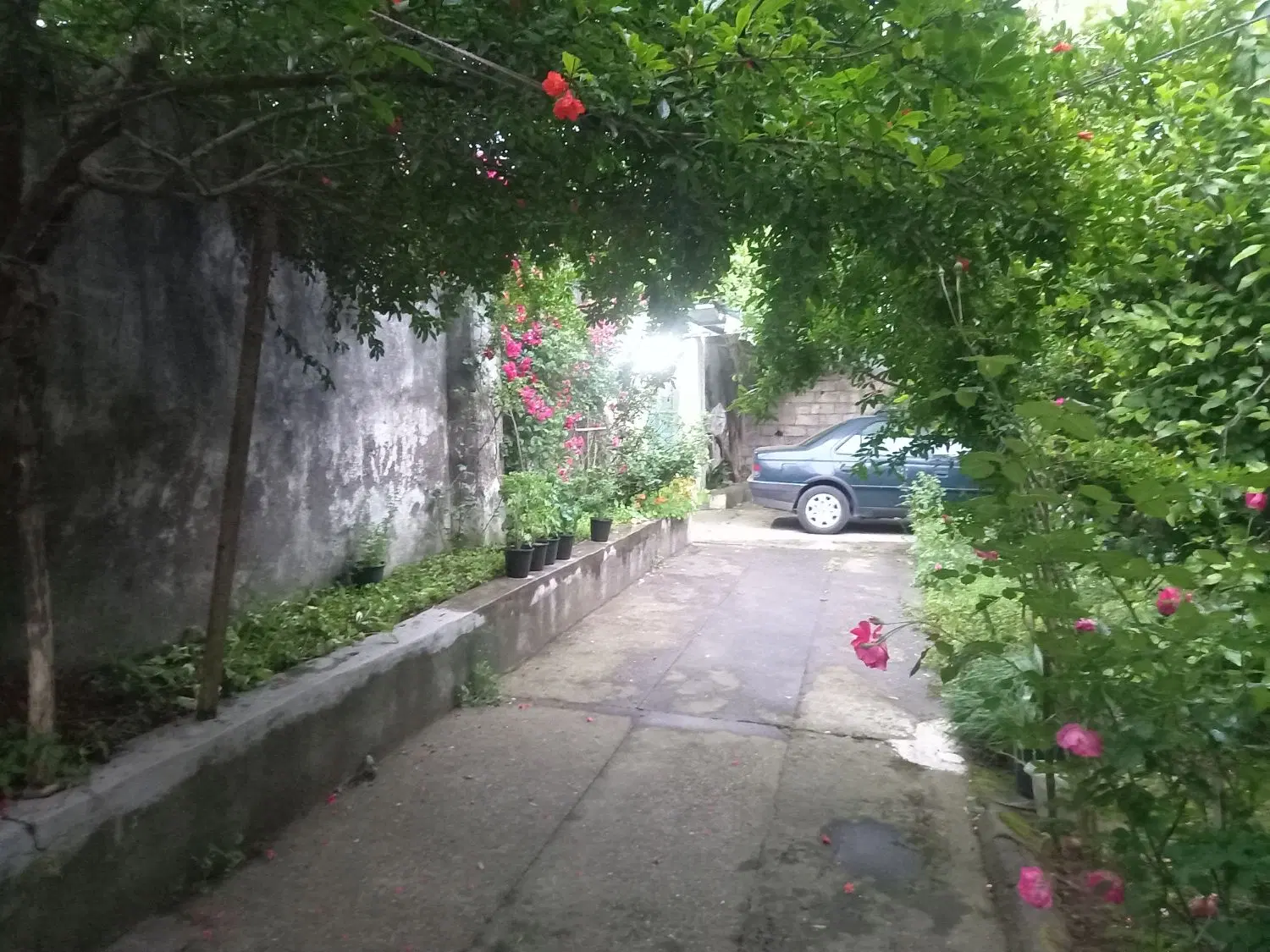 تصویر املاک 114051