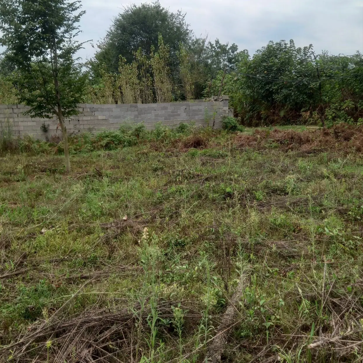 تصویر املاک 130311