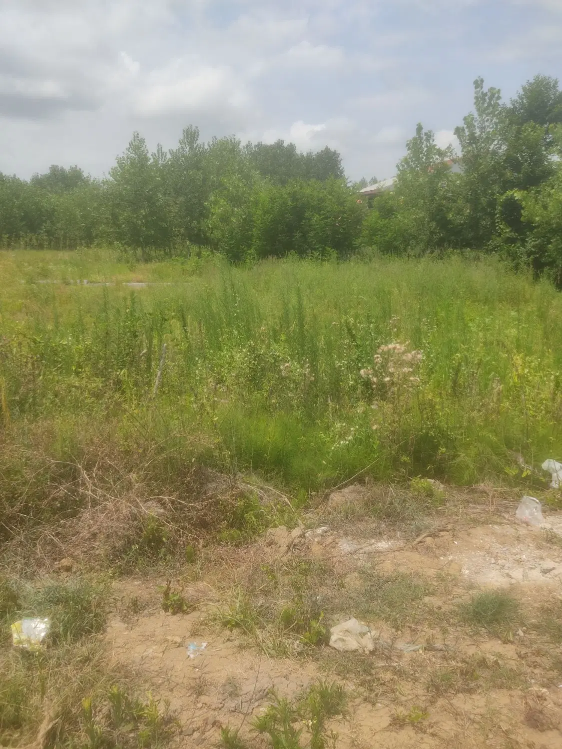 تصویر املاک 92168