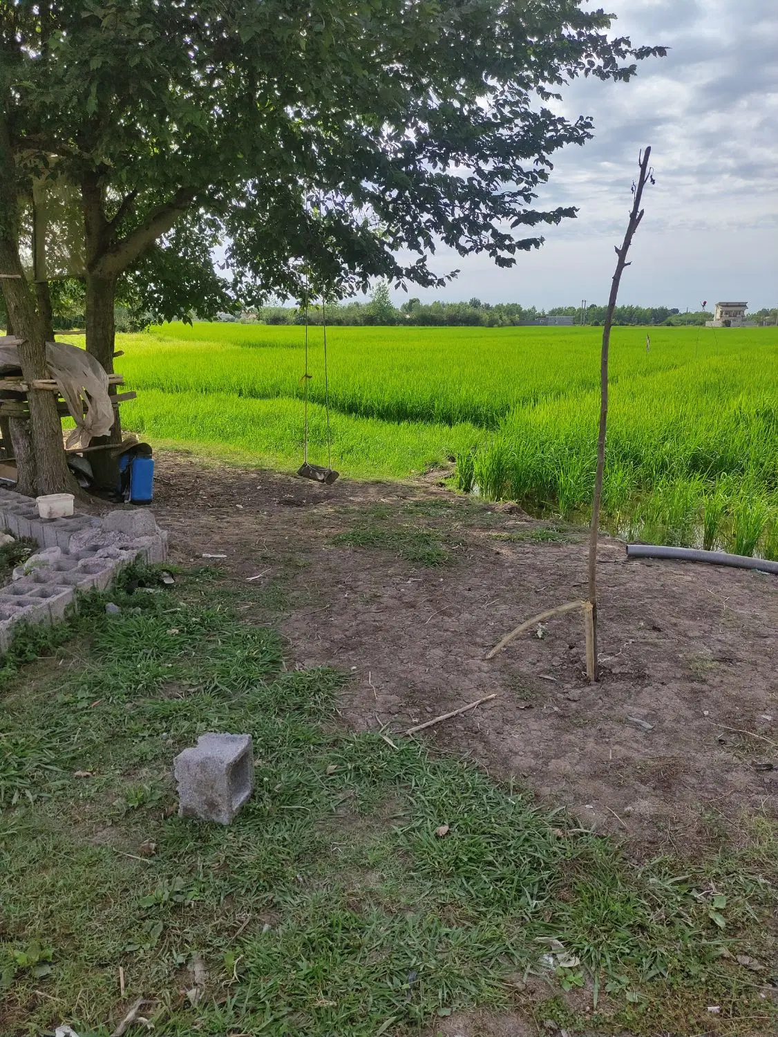 تصویر املاک 110862