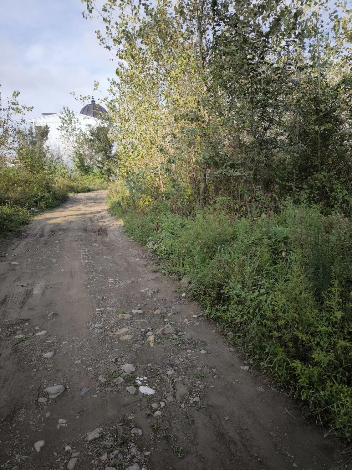 تصویر املاک 142893