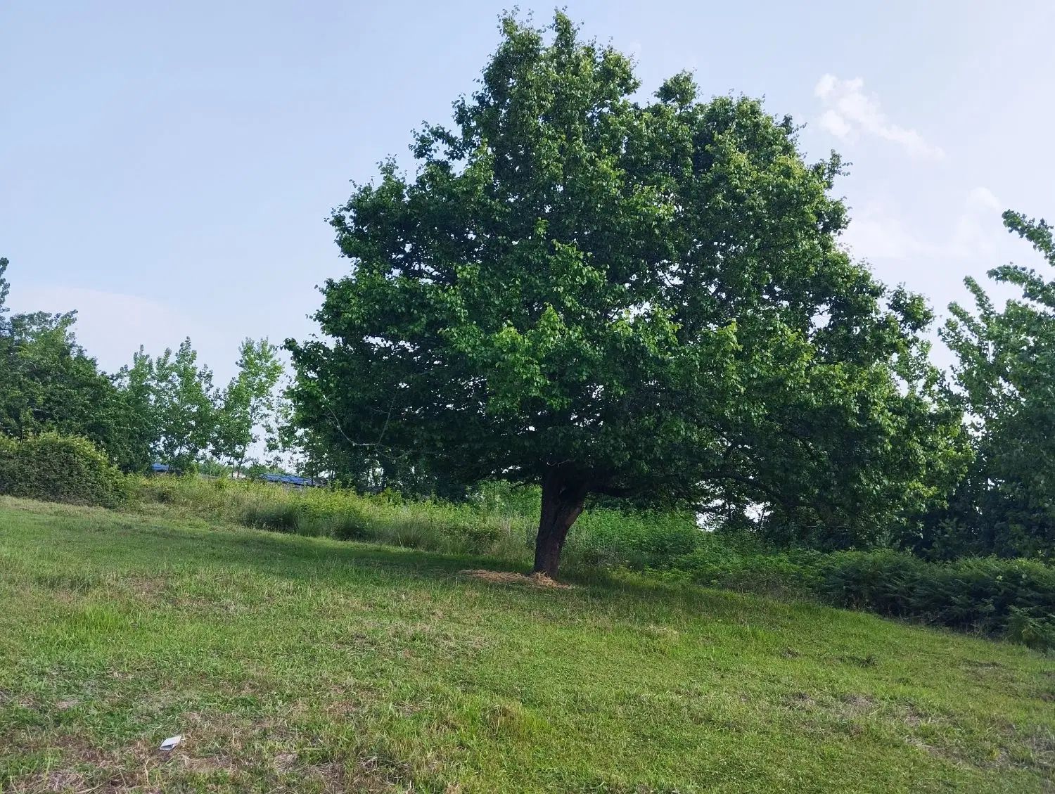 تصویر املاک 71419