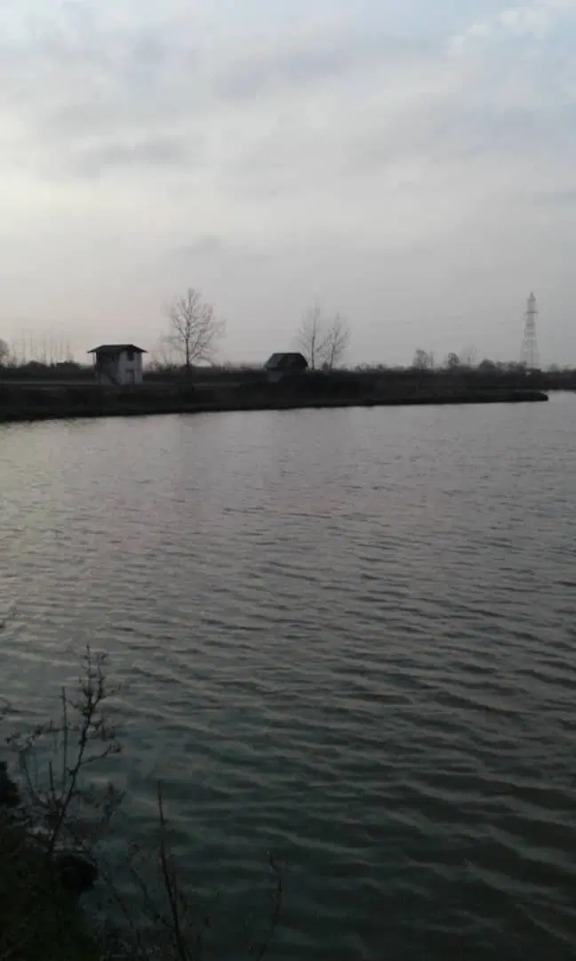 تصویر املاک 66586