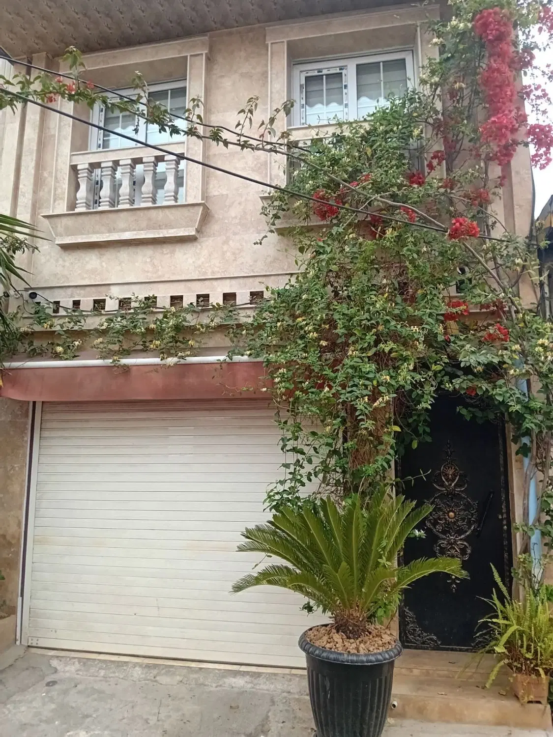 تصویر املاک 69242