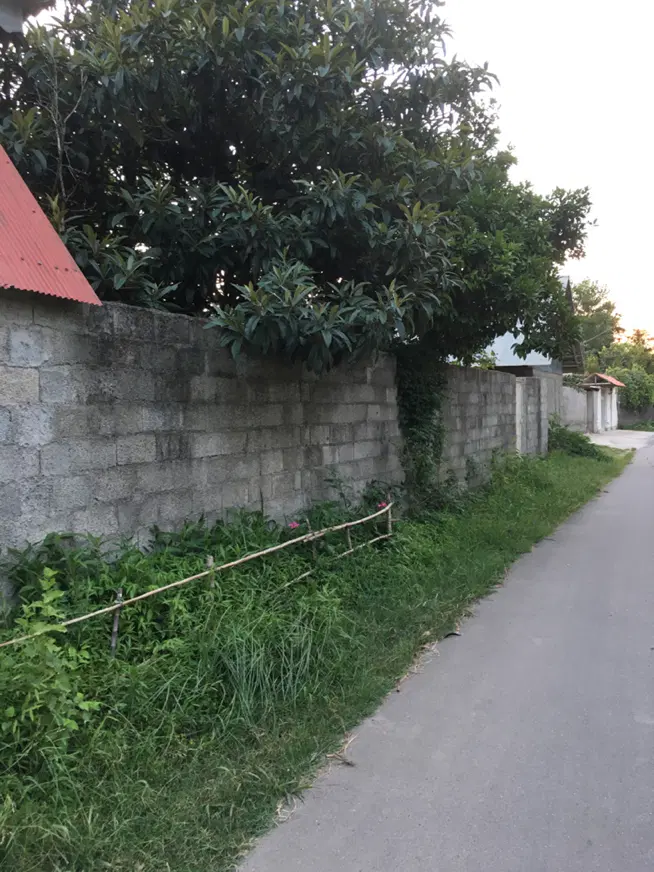 تصویر املاک 97201
