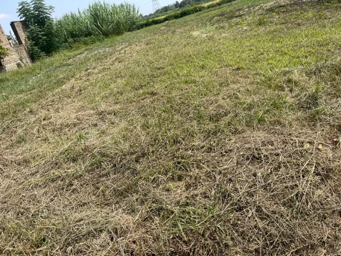 تصویر املاک 111623