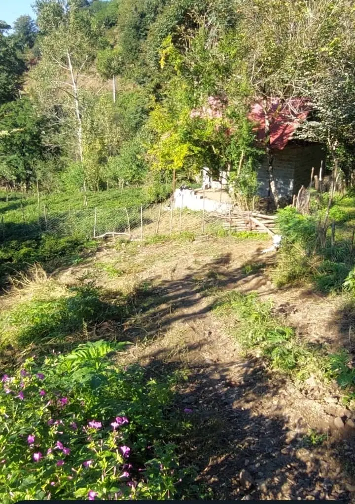 تصویر املاک 106470