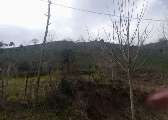 تصویر املاک 120554