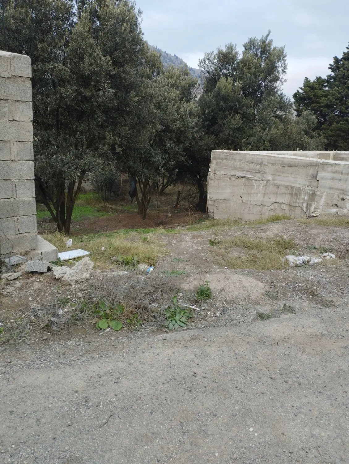 تصویر املاک 50123