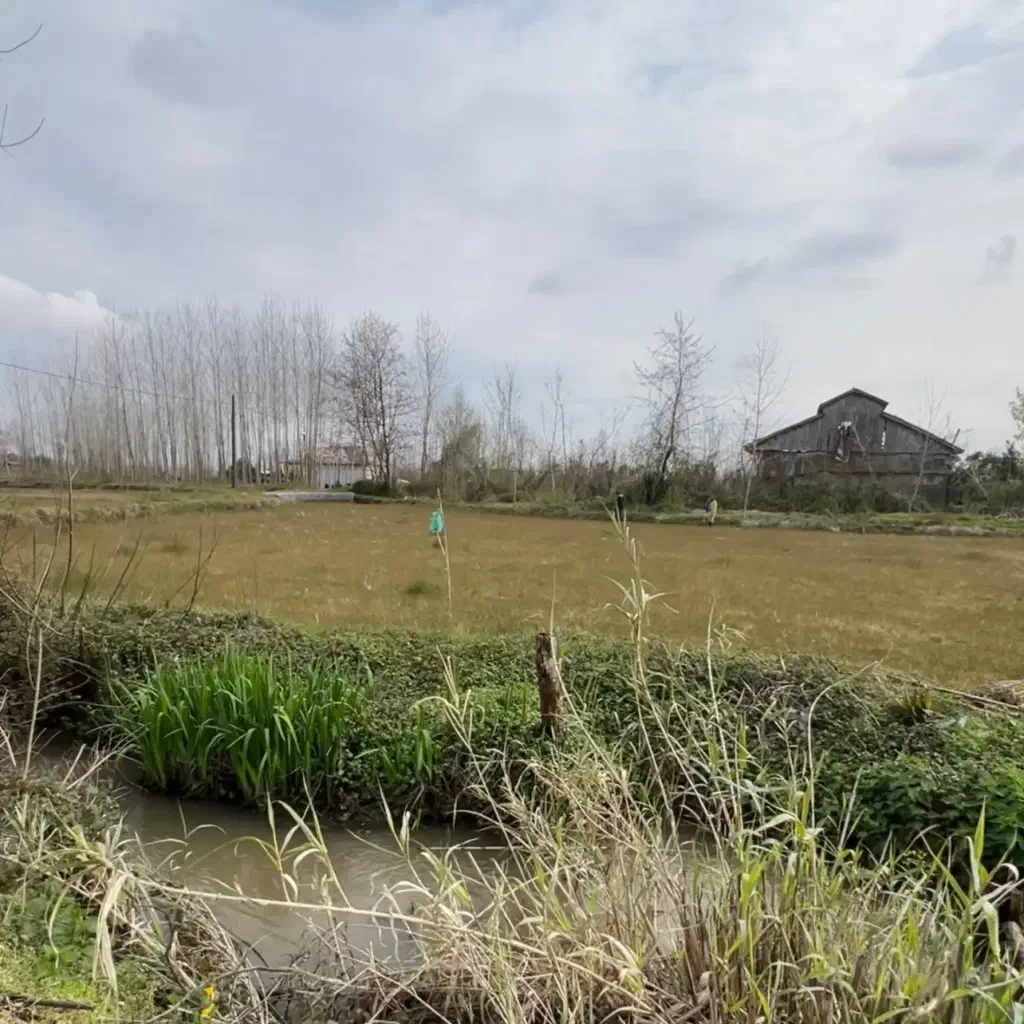 تصویر املاک 138441