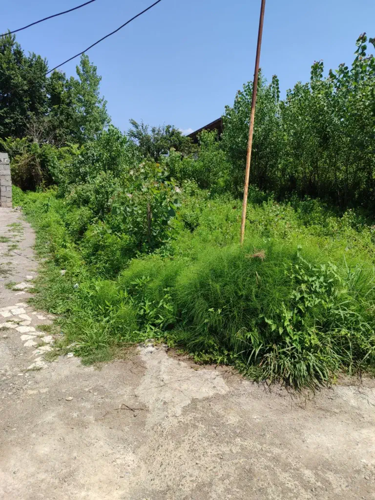 تصویر املاک 141657