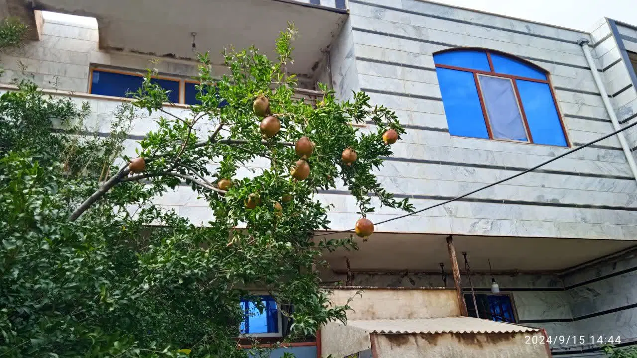 تصویر املاک 127167