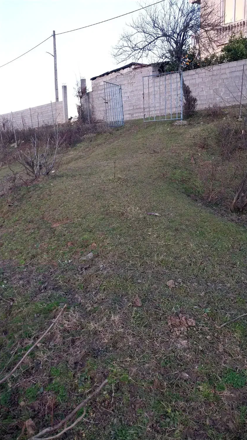 تصویر املاک 31406