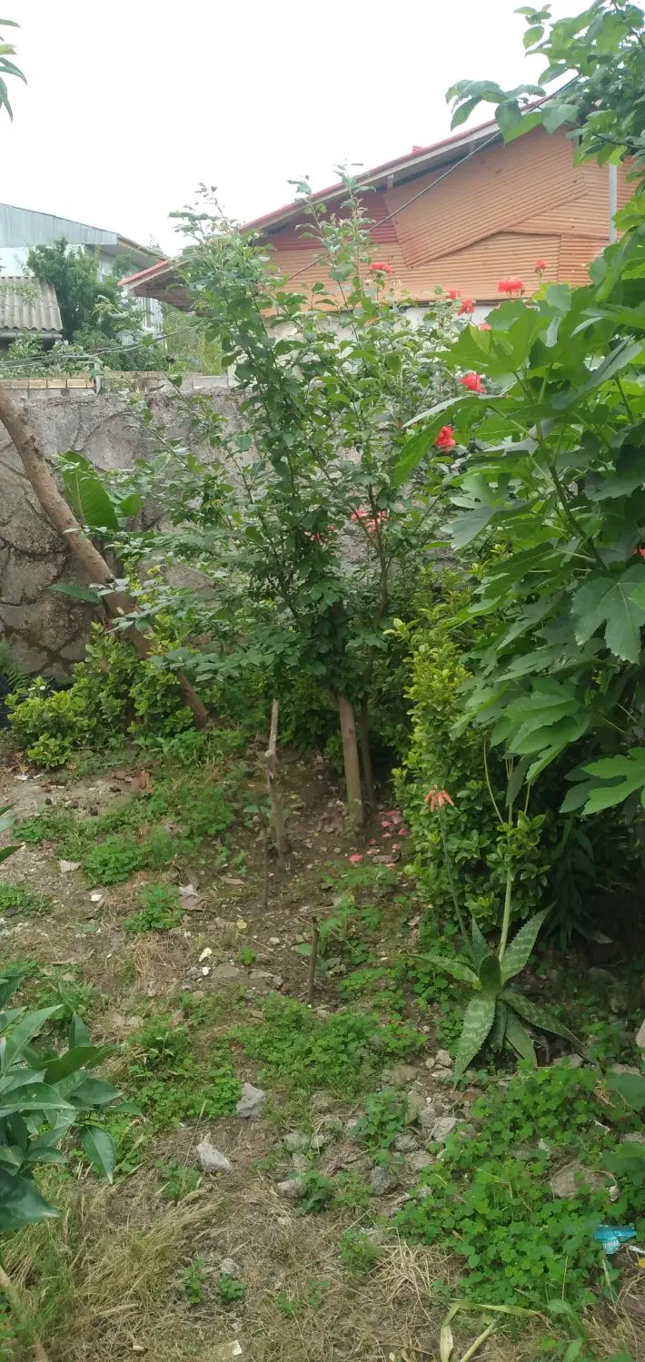 تصویر املاک 129339
