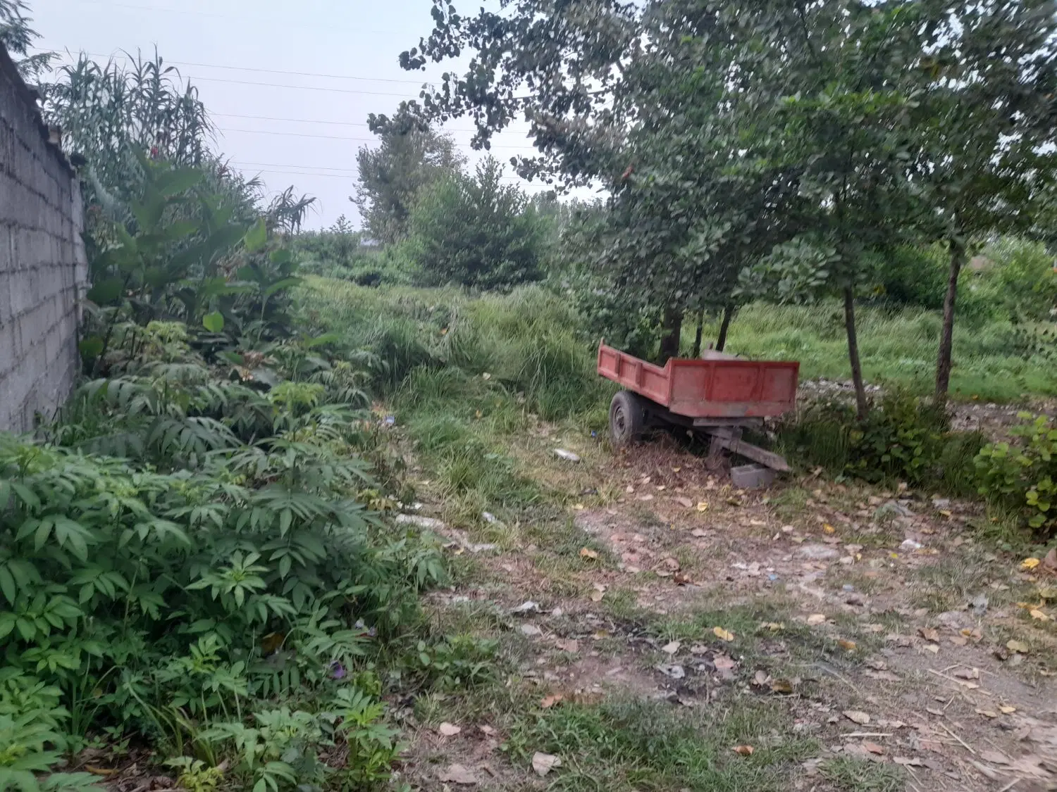 تصویر املاک 109308