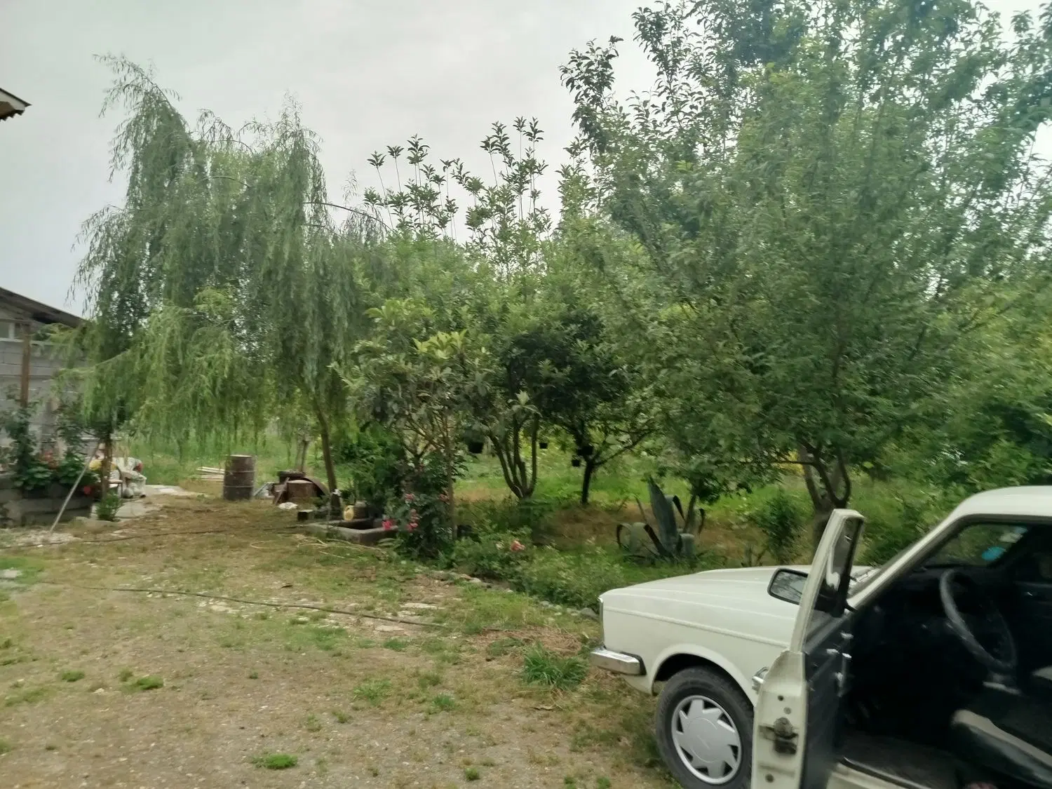 تصویر املاک 129538