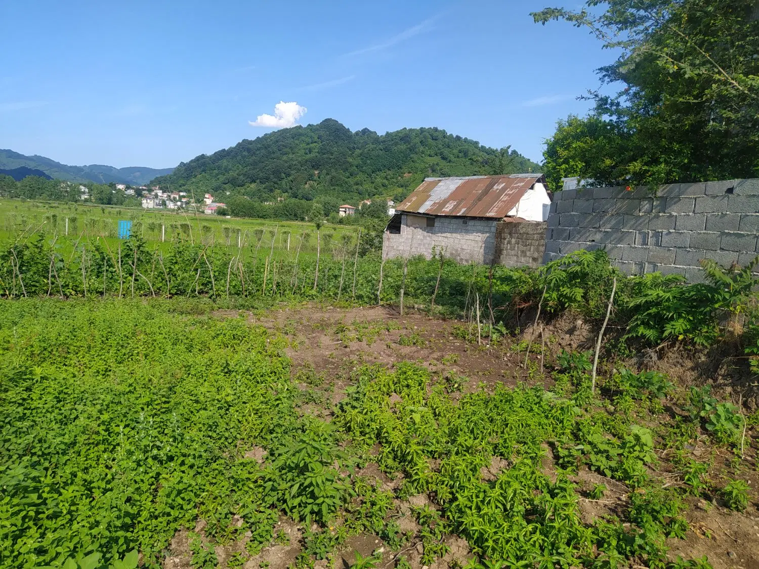 تصویر املاک 114773