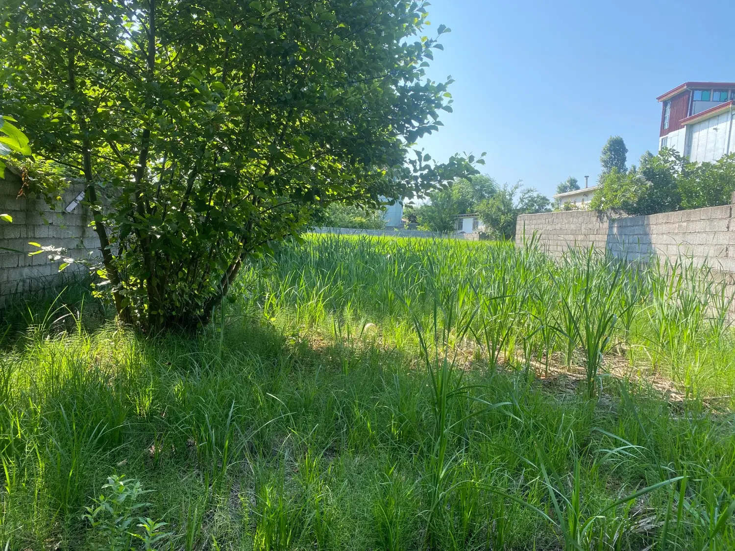 تصویر املاک 77418