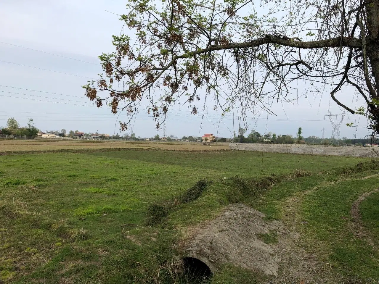تصویر املاک 111985