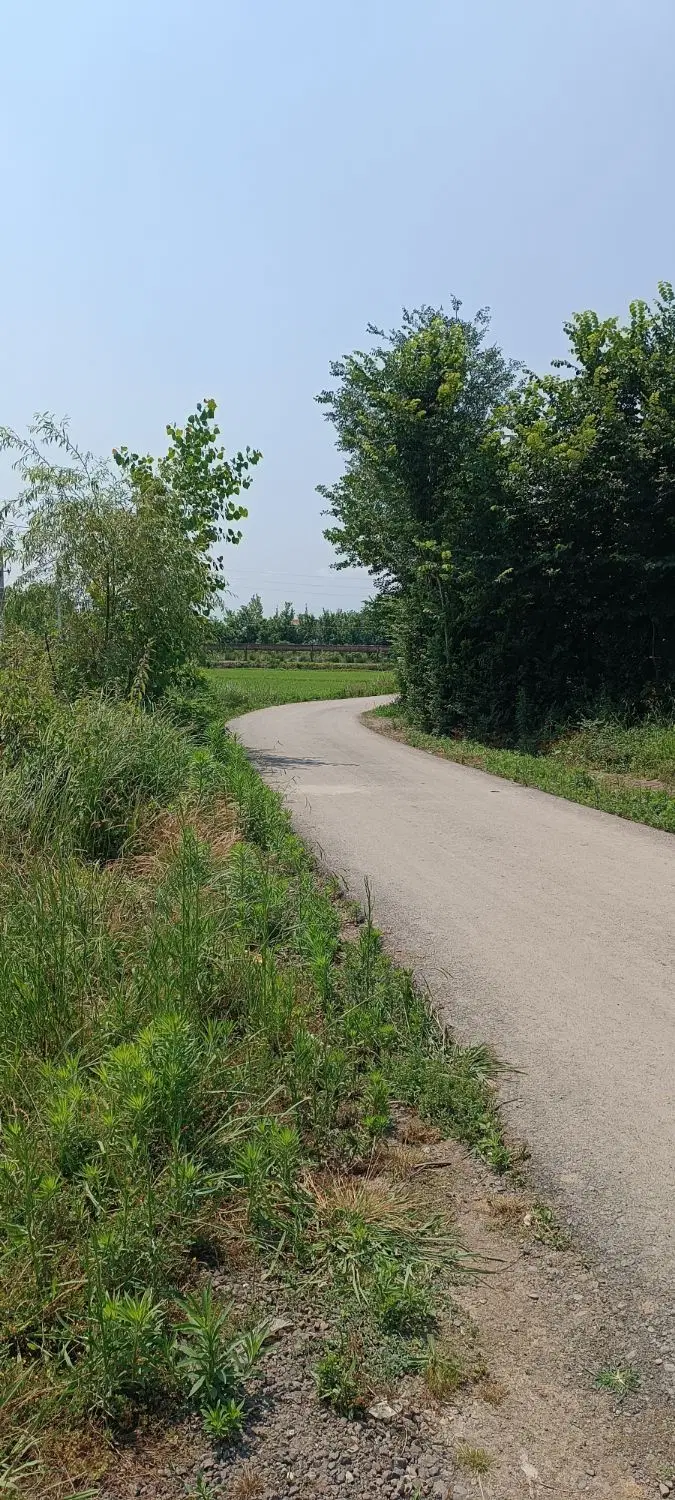 تصویر املاک 80311