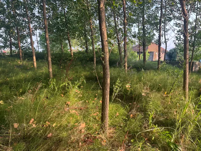 تصویر املاک 79239