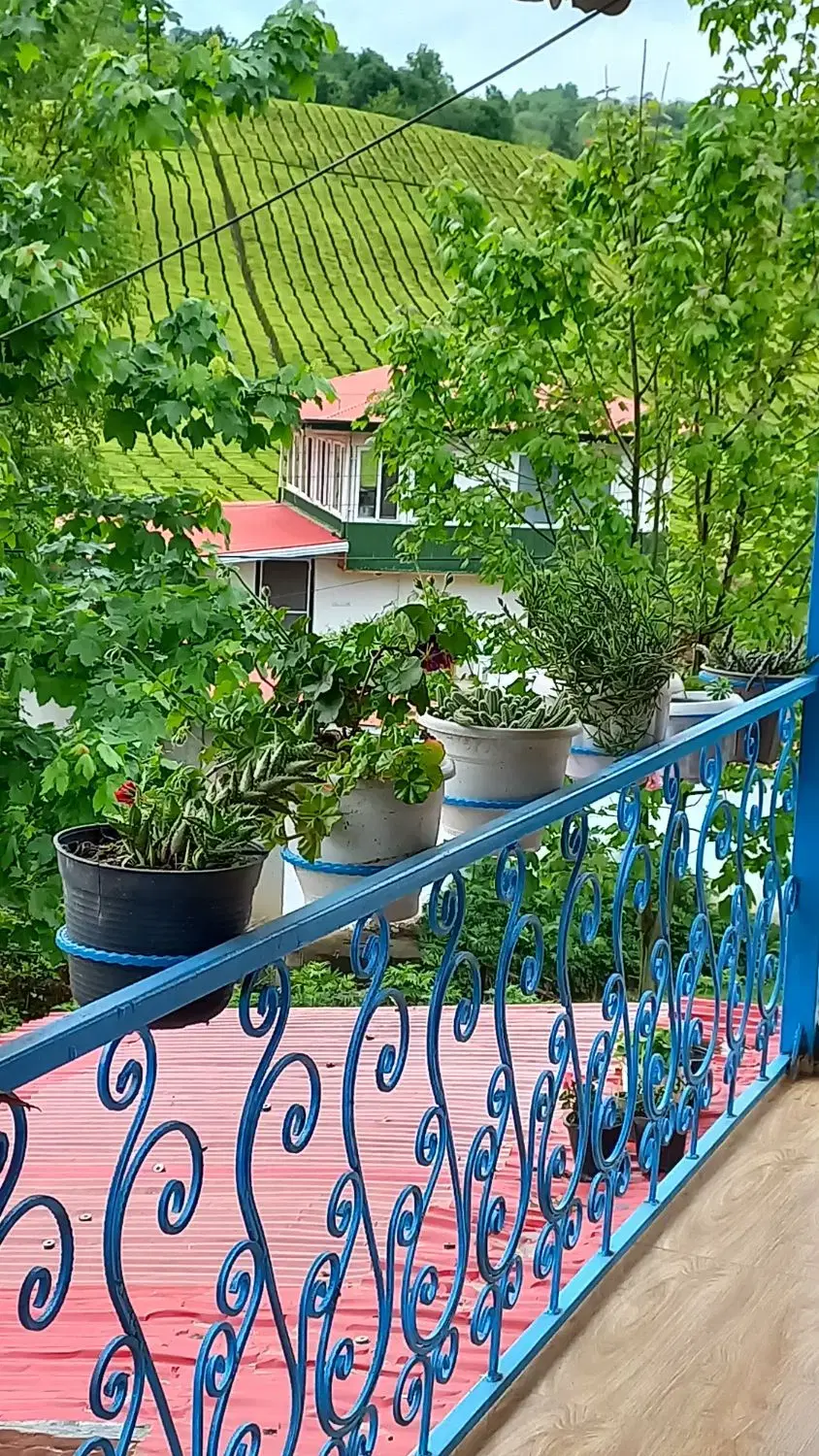 تصویر املاک 108966