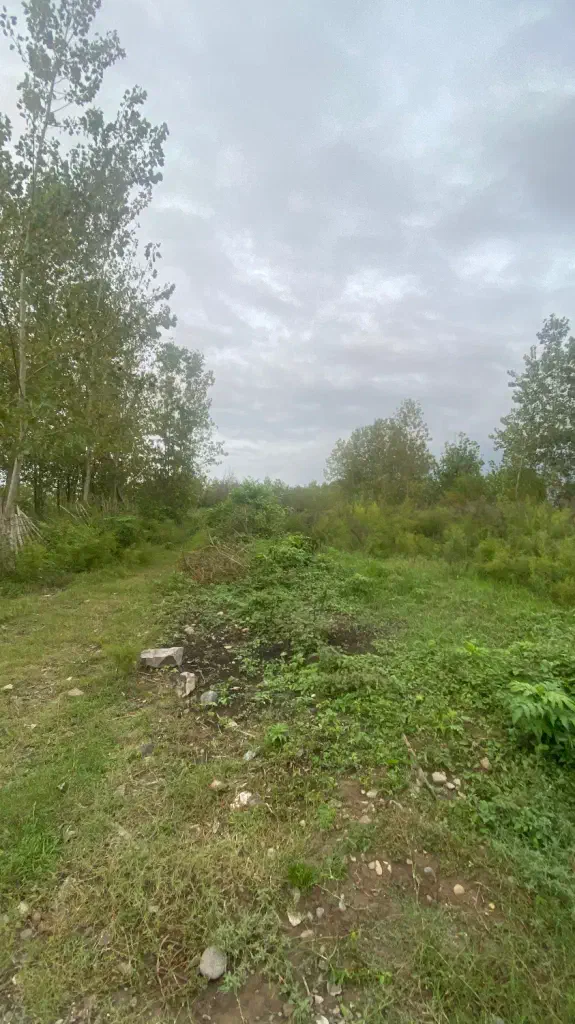 تصویر املاک 137989