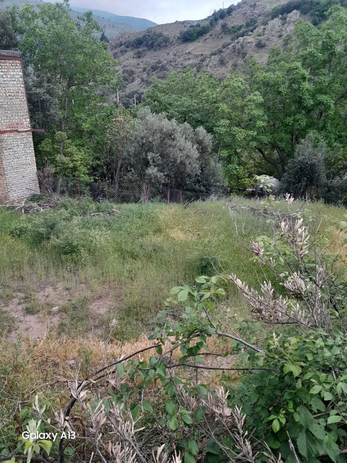 تصویر املاک 82201