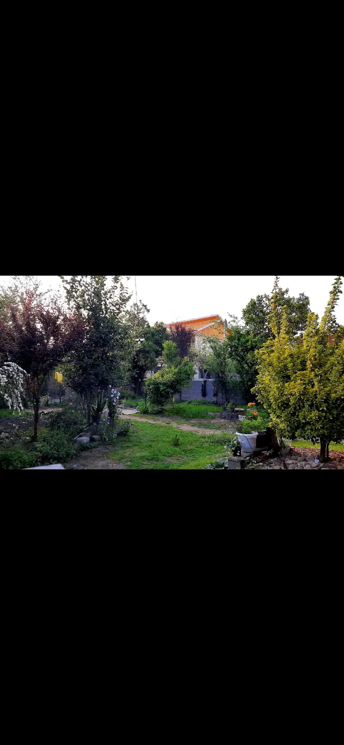 تصویر املاک 114280