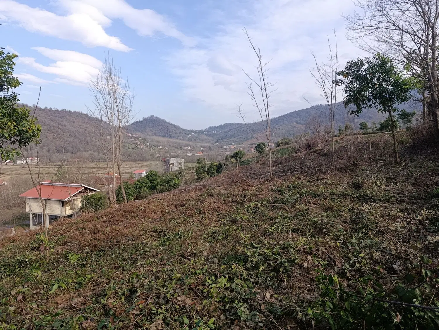 تصویر املاک 117308