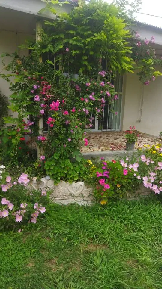 تصویر املاک 109145