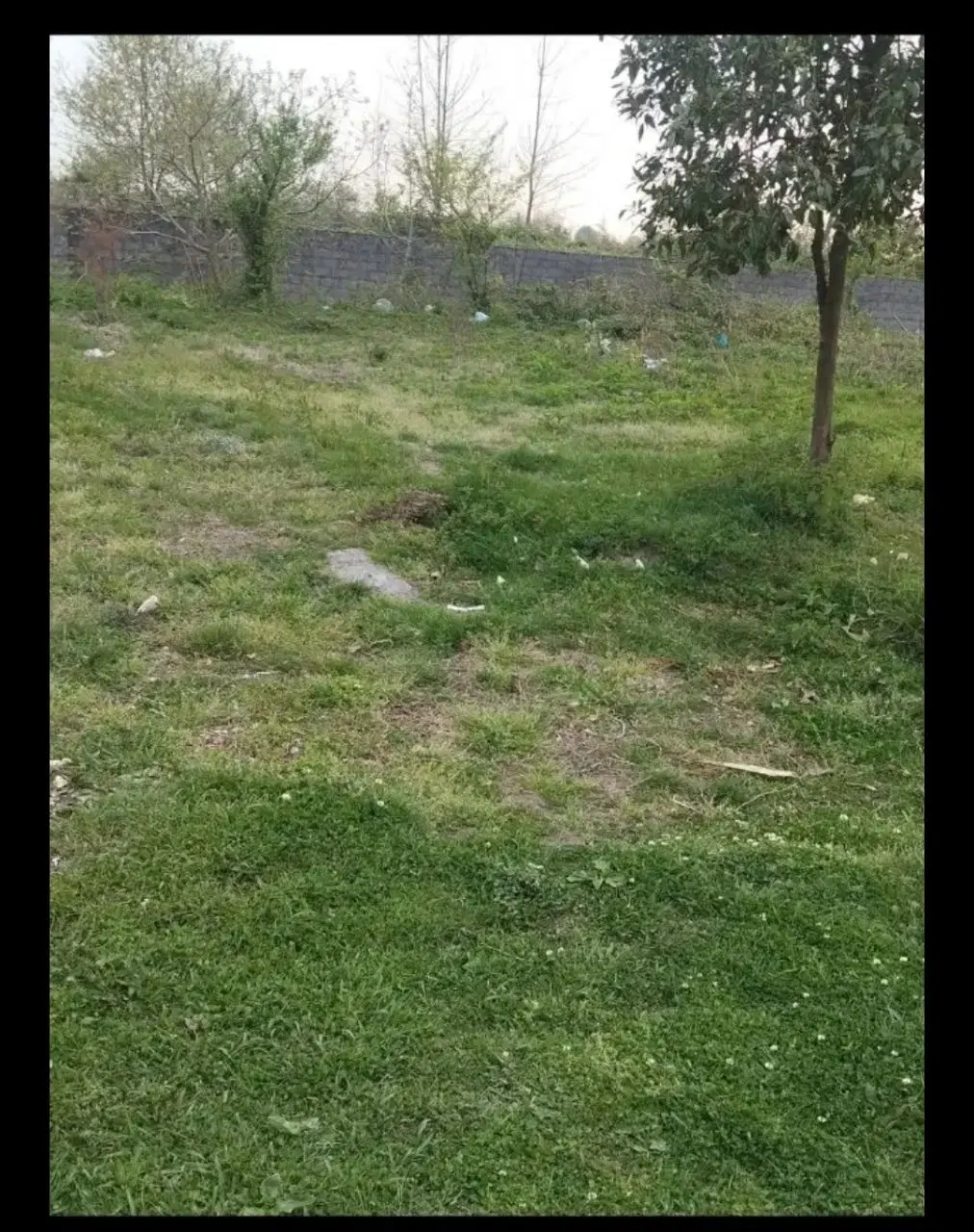 تصویر املاک 120483