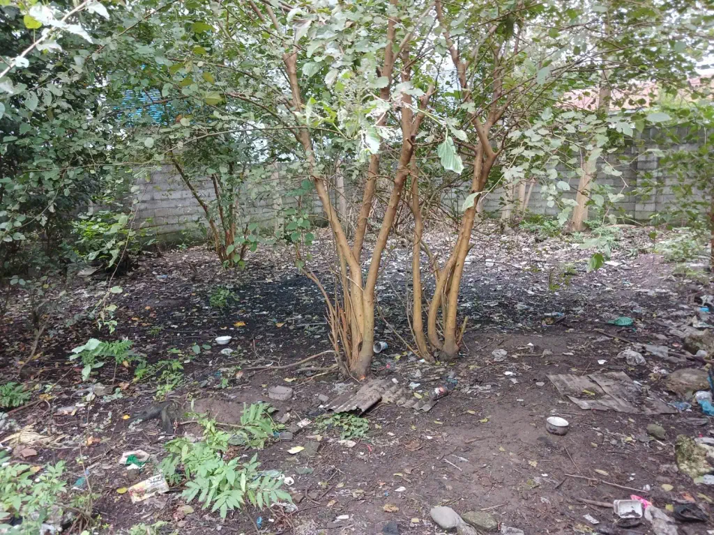تصویر املاک 143296