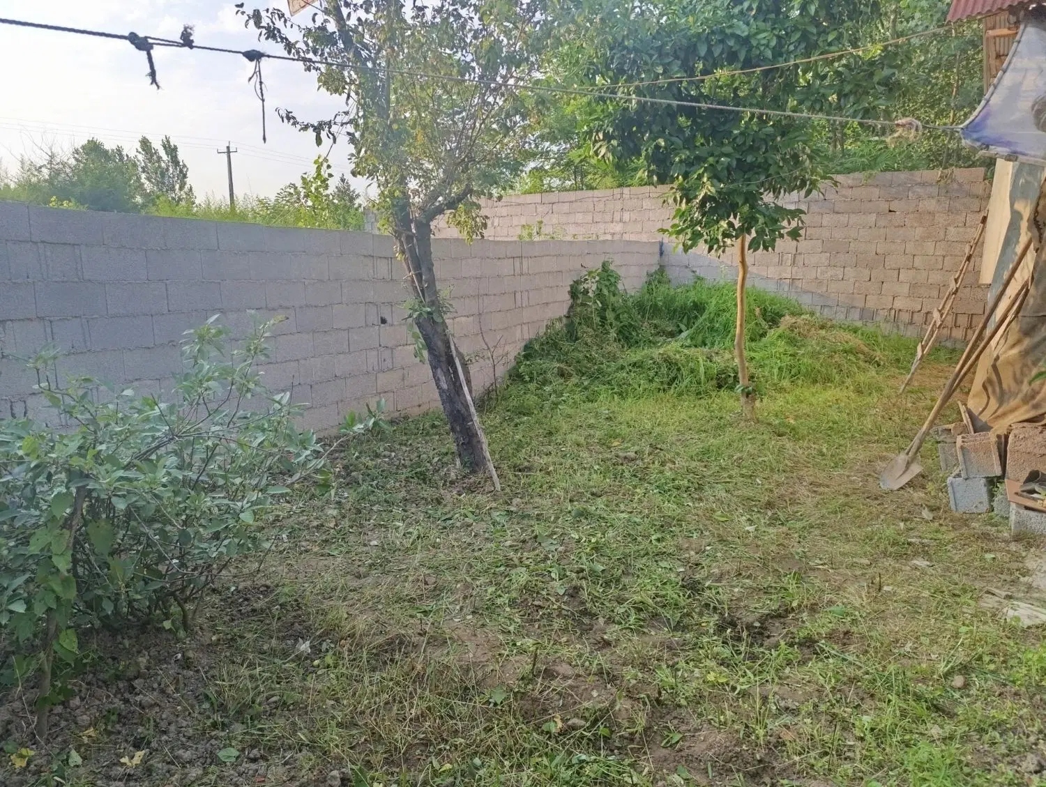 تصویر املاک 69594