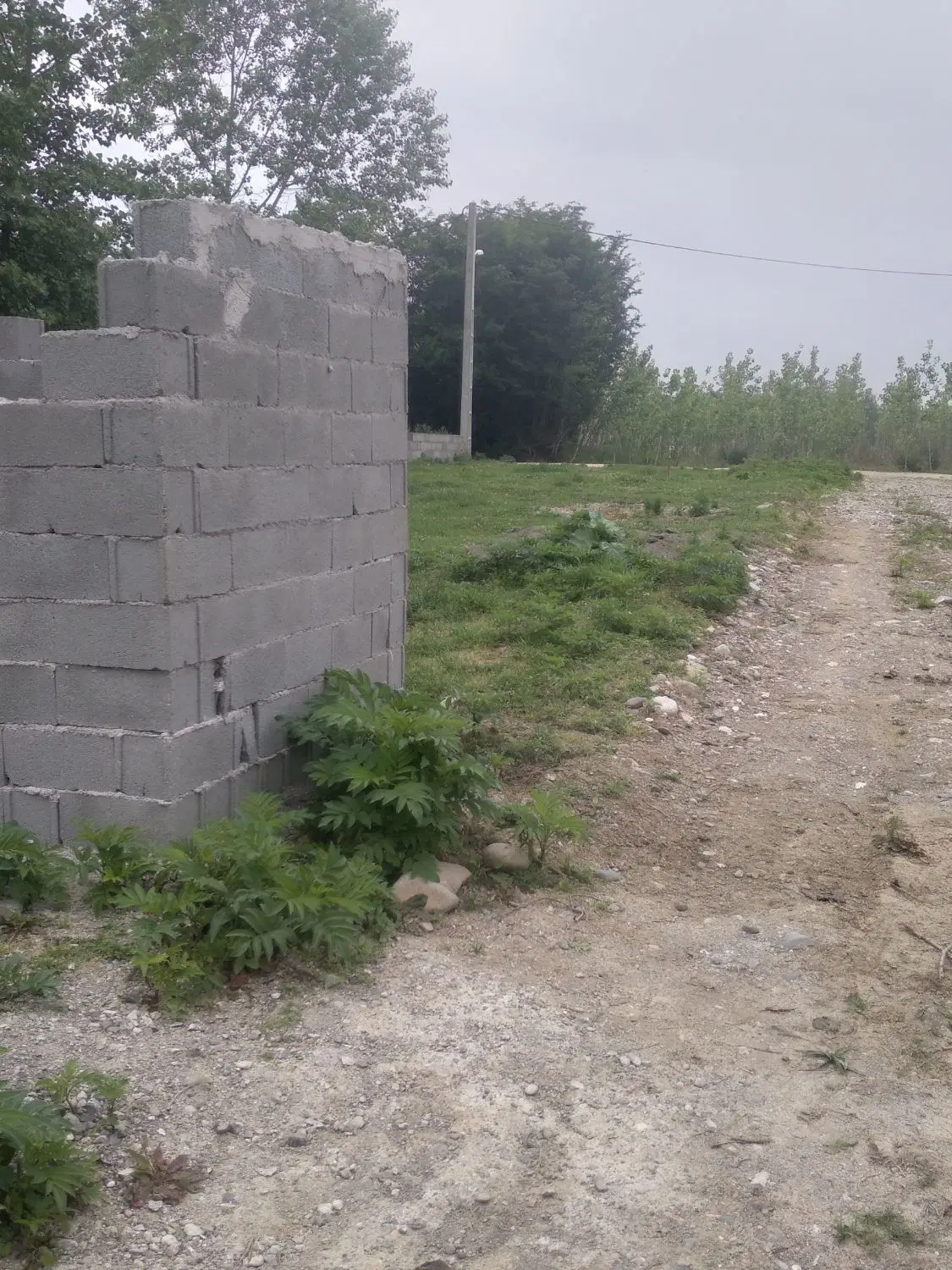 تصویر املاک 61990