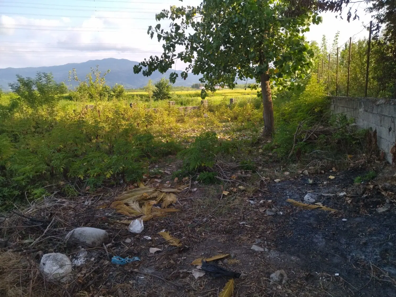 تصویر املاک 99498