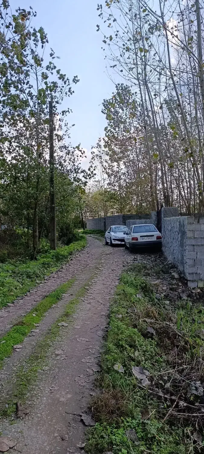 تصویر املاک 18091